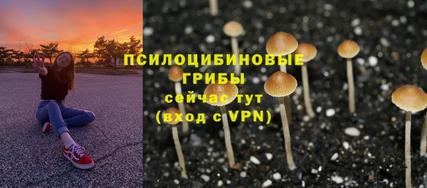 скорость Арсеньев