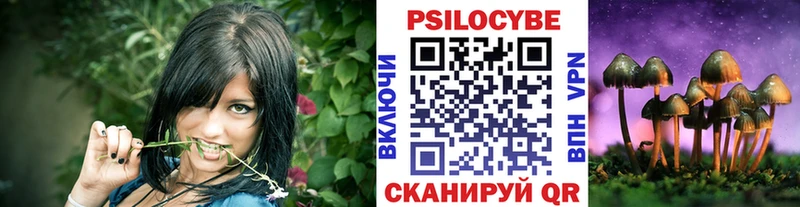 сколько стоит  Нижнеудинск  Галлюциногенные грибы ЛСД 